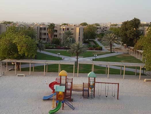 صورة الحياة الجامعية